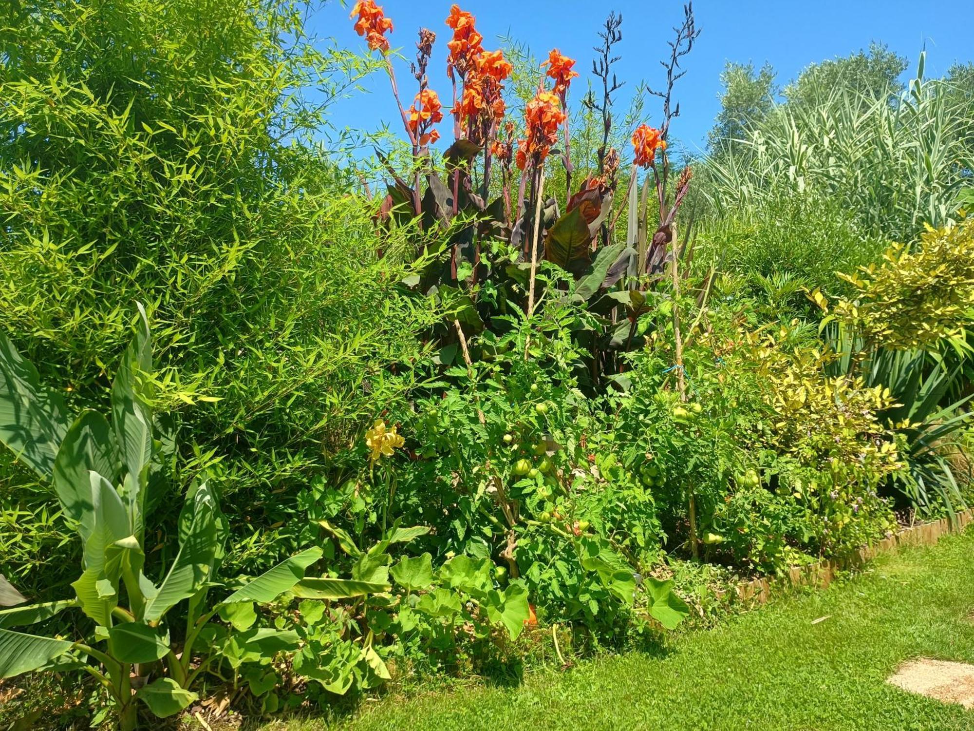 G1 Les Oliviers Villa Saint-Germain-de-Princay ภายนอก รูปภาพ